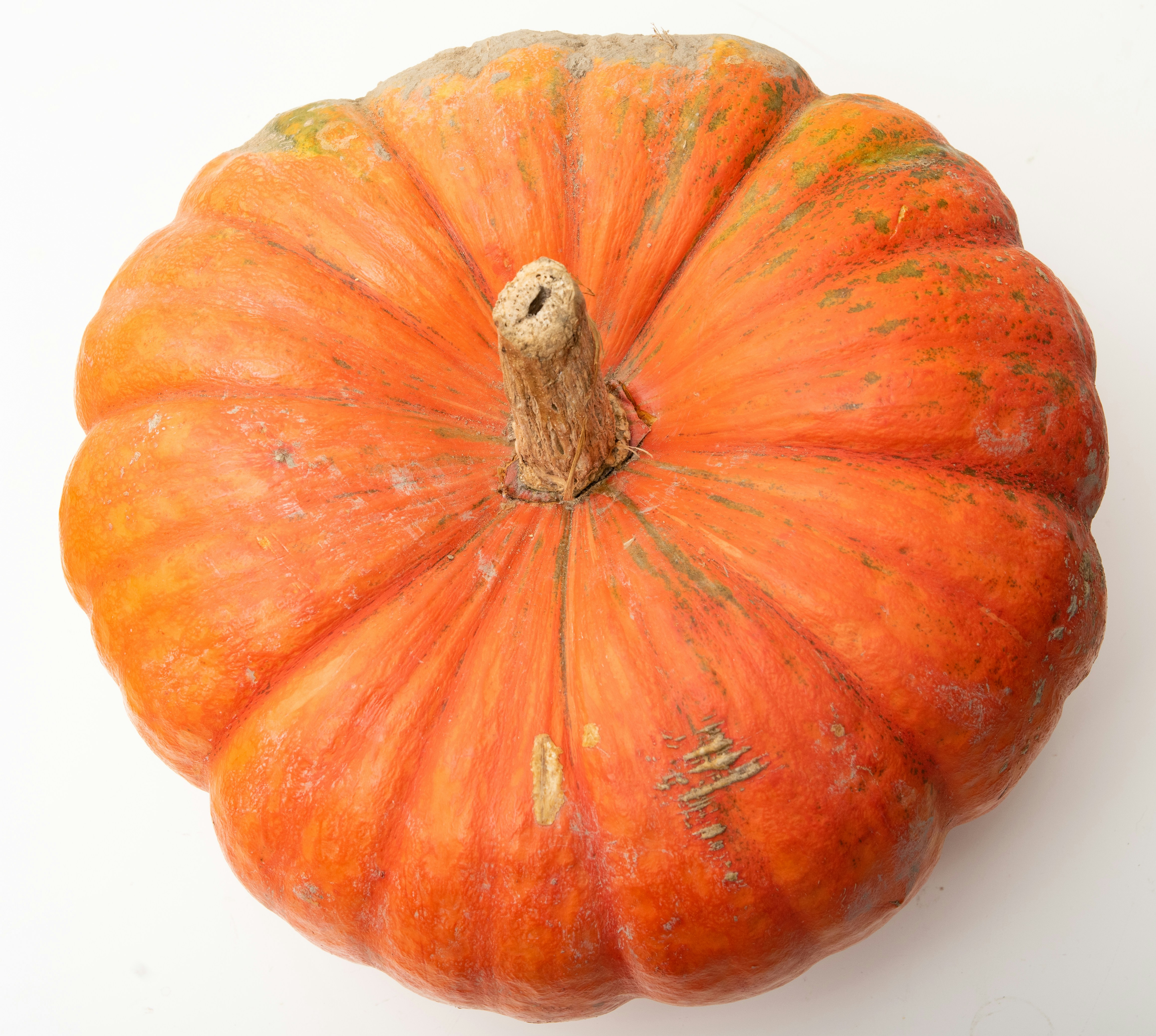 Should I Pumpkin My Pumpkin Spice?